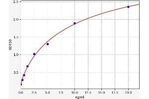 Typical standard curve (STAT4 ELISA Kit)