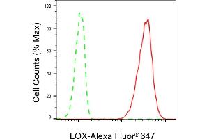 Flow cytometric analysis of LOX expression in HT- cells using LOX antibody (ABIN7799311), 1:2,000). (Rekombinanter LOX Antikörper)
