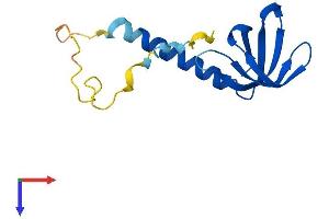 GEMIN7 Protein (AA 1-129) (His tag)