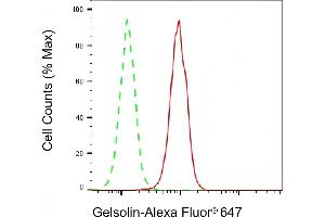 Flow cytometric analysis of Gelsolin expression in C2C12 cells using Gelsolin antibody (ABIN7798702), 1:2,000). (Rekombinanter Gelsolin Antikörper)