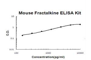Mouse Fractalkine/CX3CL1 Accusignal ELISA Kit Mouse Fractalkine/CX3CL1 AccuSignal ELISA Kit standard curve.