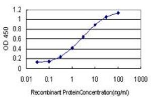Detection limit for recombinant GST tagged GSTO1 is approximately 0.