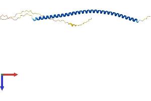 MCEMP1 Protein (AA 1-187) (His tag)