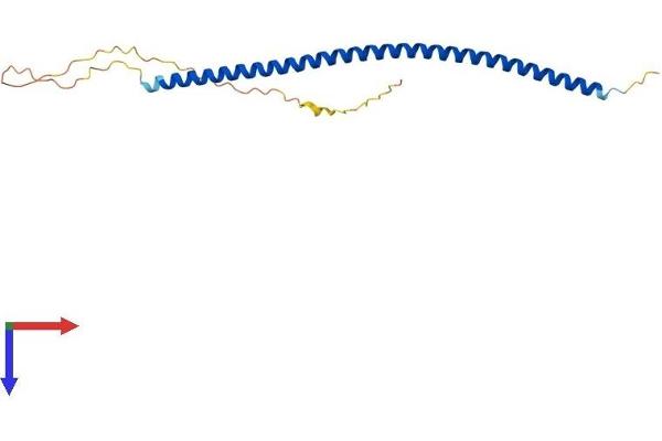 MCEMP1 Protein (AA 1-187) (His tag)