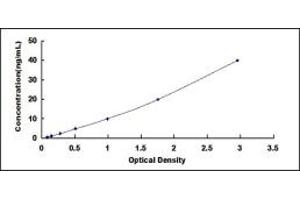 Typical standard curve (CD163 ELISA Kit)