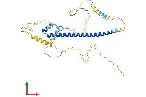 Protein Structure (PS) image for Adaptor-Related Protein Complex 1 Associated Regulatory Protein (AP1AR) (AA 1-302) protein (His tag) (ABIN7552163)