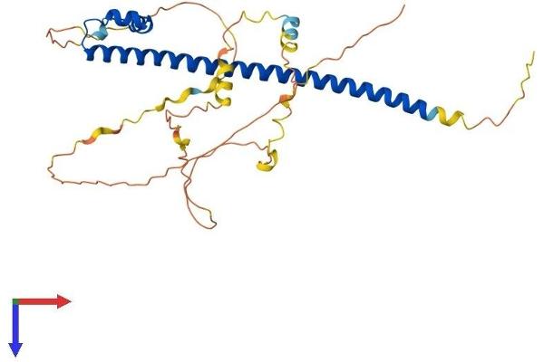 MAFB Protein (AA 1-323) (His tag)