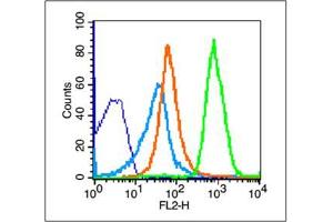 Thymus cells probed with NKG2D Polyclonal Antibody, unconjugated  at 1:100 dilution for 30 minutes compared to control cells (blue) and isotype control (orange) (KLRK1 Antikörper  (AA 121-219))