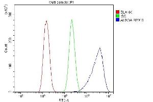 Flow Cytometry analysis of U20S cells using anti-ALDOA antibody (ABIN7601907). (ALDOA Antikörper  (AA 50-364))