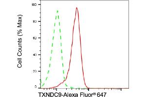 Flow cytometric analysis of TXNDC9 expression in HT- cells using TXNDC9 antibody (ABIN7800543), 1:2,000).
