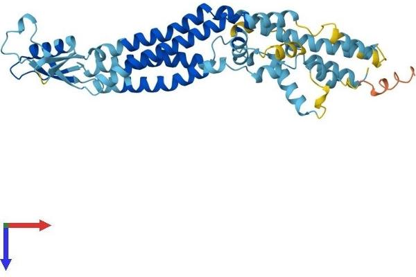 Pannexin 3 Protein (PANX3) (AA 1-392) (His tag)