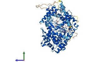 Protein Structure (PS) image for Endothelin Converting Enzyme-Like 1 (ECEL1) (AA 1-775) protein (His tag) (ABIN7561715)