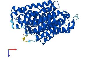 Mitochondrially Encoded NADH Dehydrogenase 4 (MT-ND4) (AA 1-459) protein (His tag)