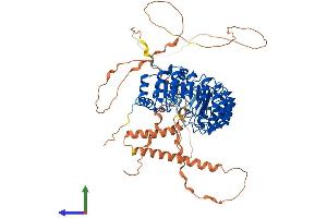Protein Structure (PS) image for F-Box and Leucine-Rich Repeat Protein 17 (FBXL17) (AA 1-701) protein (His tag) (ABIN7547855)
