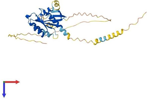 REM1 Protein (AA 1-298) (His tag)