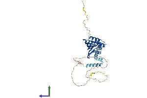 Protein Structure (PS) image for LIM Domain Binding 2 (LDB2) (AA 1-373) protein (His tag) (ABIN7548892)