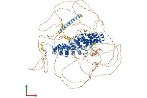 AlphaFold protein structure predicition of Mouse Recombinant Ctnnd2 Protein, UniprotID O35927
