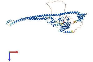 TRIM25 Protein (AA 1-630) (His tag)