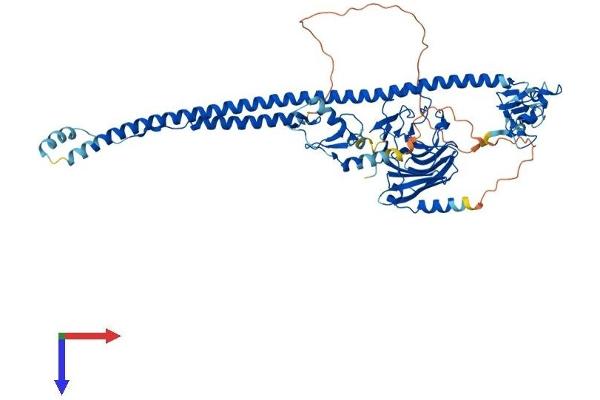 TRIM25 Protein (AA 1-630) (His tag)