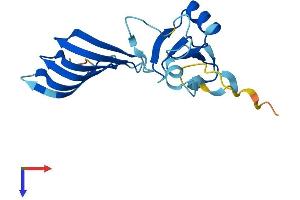 MORN5 Protein (AA 1-170) (His tag)