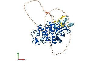 Protein Structure (PS) image for serine/arginine-Rich Protein Specific Kinase 3 (SRPK3) (AA 1-567) protein (His tag) (ABIN7546313)