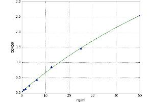 SMAD, Mothers Against DPP Homolog 1 (SMAD1) ELISA Kit