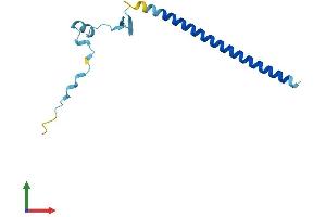 Protein Structure (PS) image for Chibby Homolog 1 (CBY1) (AA 1-126) protein (His tag) (ABIN7552927)