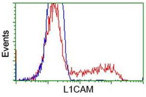 Flow Cytometry (FACS) image for anti-L1 Cell Adhesion Molecule (L1CAM) antibody (ABIN1499082)