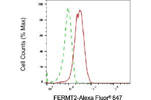 Flow cytometric analysis of FERMT2 expression in HepG2 cells using FERMT2 antibody (ABIN7798593), 1:2,000). (FERMT2 Antikörper)