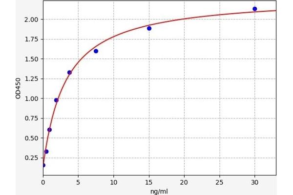 C4BPB ELISA Kit