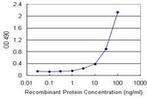 Sandwich ELISA detection sensitivity ranging from 3 ng/mL to 100 ng/mL. (CCL2 (Human) Matched Antibody Pair)