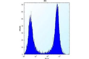 AP51131PU-N Cathepsin K Antibody flow cytometric analysis of 293 cells (right histogram) compared to a negative control cell (left histogram). (Cathepsin K Antikörper  (Middle Region))