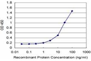 Detection limit for recombinant GST tagged GCLM is approximately 1ng/ml as a capture antibody. (GCLM Antikörper  (AA 1-274))