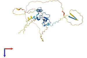 PHF13 Protein (AA 1-296) (His tag)