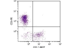 CD1d1 antibody  (Biotin)