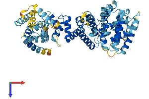 FANCC Protein (AA 1-558) (His tag)