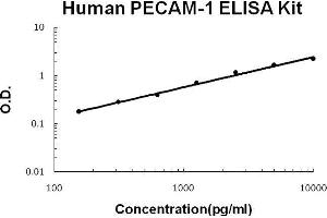 Human PECAM-1/CD31 PicoKine ELISA Kit standard curve (CD31 ELISA Kit)