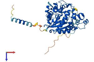 CHST6 Protein (AA 1-395) (His tag)