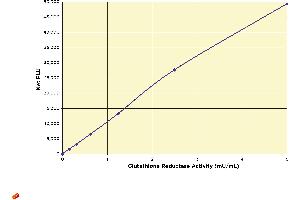 Image no. 1 for Glutathione Reductase Fluorescent Kit (ABIN577651) (Glutathione Reductase Fluorescent Kit)