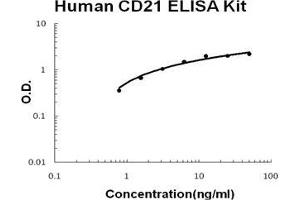 Human CD21/CR2 PicoKine ELISA Kit standard curve