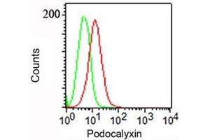FACS surface staining of NCCIT cells with Podocalyxin antibody (PODXL Antikörper  (Extracellular Domain))