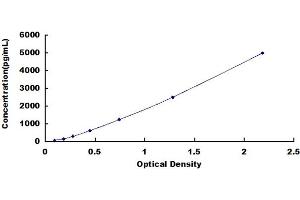 Typical standard curve (LYN ELISA Kit)