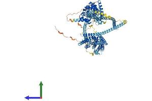 Protein Structure (PS) image for Huntingtin Interacting Protein 1 (HIP1) (AA 1-1037) protein (His tag) (ABIN7554119)