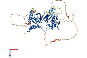 SMAD6 Protein (AA 1-495) (His tag)