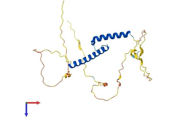 BHLHA9 Protein (AA 1-235) (His tag)
