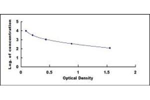 Typical standard curve (ECE2 ELISA Kit)