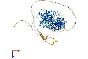 GSPT1 Protein (AA 1-636) (His tag)