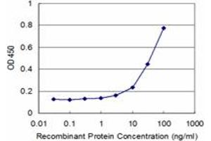ELISA image for anti-Bone Morphogenetic Protein Receptor, Type II (serine/threonine Kinase) (BMPR2) (AA 939-1037) antibody (ABIN513786)