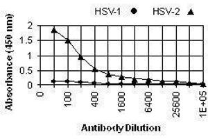 ELISA image for anti-Herpes Simplex Virus Type 2, Glycoprotein E (HSV2 gE) antibody (ABIN265568) (HSV-2 gE Antikörper)