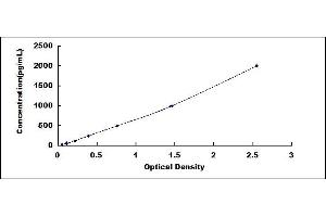 Typical standard curve (Iba1 ELISA Kit)